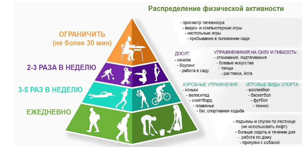 Пребывать в положении. Пирамида физической активности. Виды физической активности. Пирамида двигательной активности. Пирамида физической активности воз.